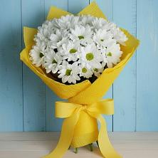 Букет цветов из:  Хризантемы в Серафимовском