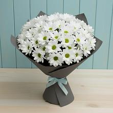 Букет цветов из:  Хризантемы в Серафимовском