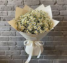 Букет цветов из:  Ромашки #REPLACE_PRED# Серафимовском