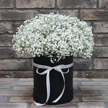 Цветочная композиция из Гипсофила в шляпной коробке в Серафимовском